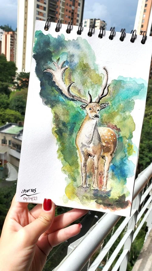 Deer watercolor